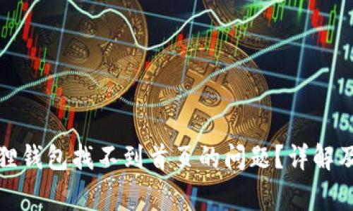 如何解决小狐狸钱包找不到首页的问题？详解及常见问题解答